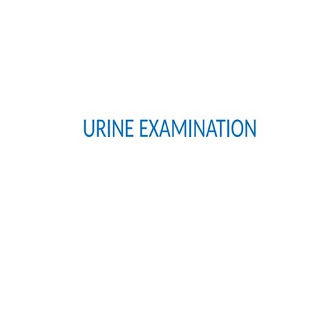 urine examination copy urine microscopy and physical findings.pptx