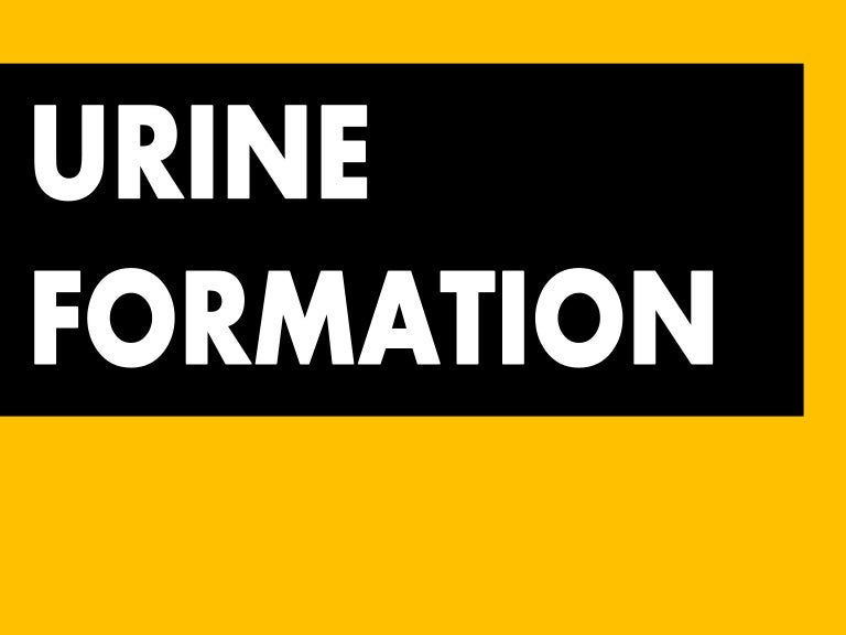 Mechanism Of Urine Formation Flow Chart