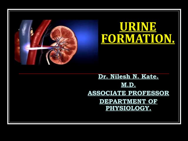 URINE FORMATION