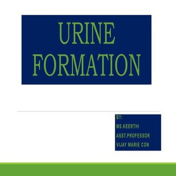 urine formation.pptx