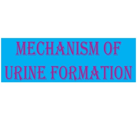 Mechanism of Urine formation in human beings.pdf