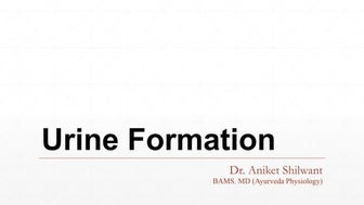 STUDY OF BASIC FUNDAMENTALS OF URINE FORMATION PHYSIOLOGY.pptx