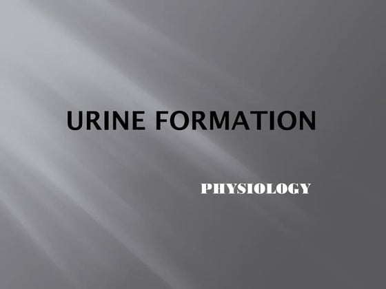 Physiology of Urine Formation | PPTX
