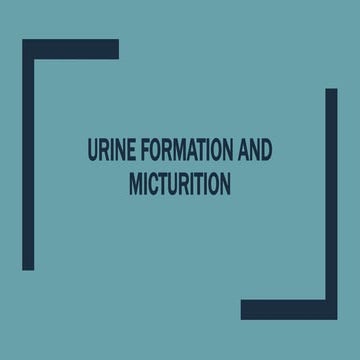 Urine formation and micturition.pptx