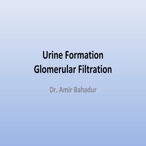 Urine formation Glomerular Filtration