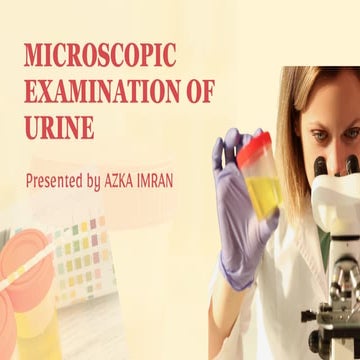 Myeloperoxidase (MPO) Staining Practical Manual for Medical Laboratory ...