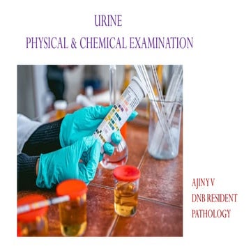Urine physical and chemic examination.pptx