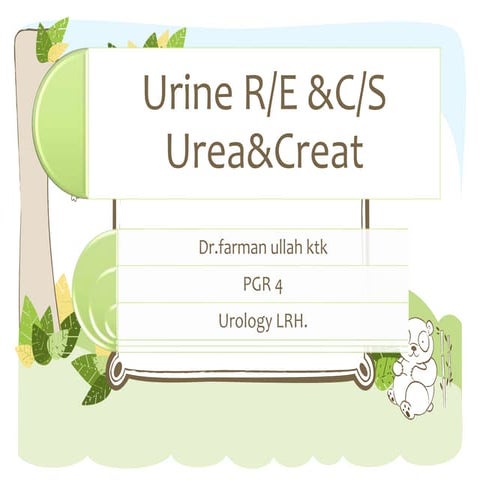 Urine R/E and RFTs