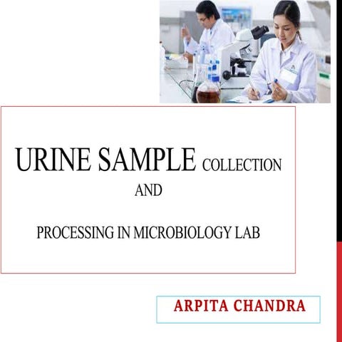 URINE SAMPLE processing.pptx