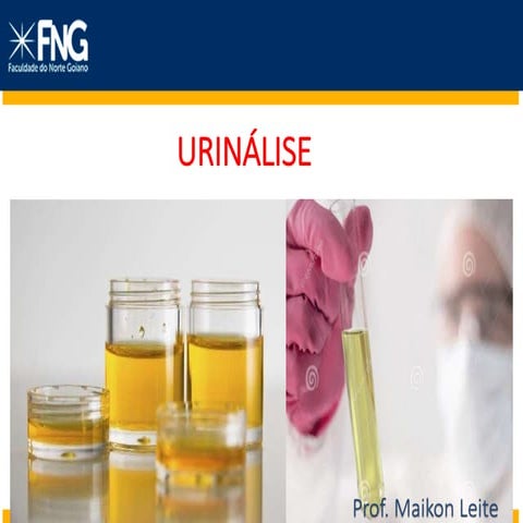 URINÁLISE.pptx