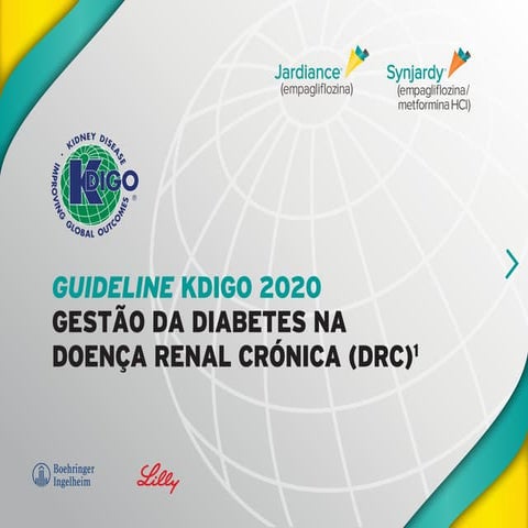 KDIGO | PPT