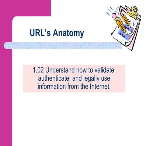 Ur Ls Anatomy