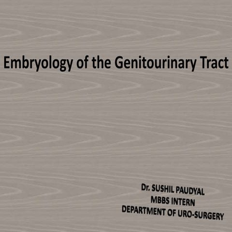Embryology of Genitourinary Tract