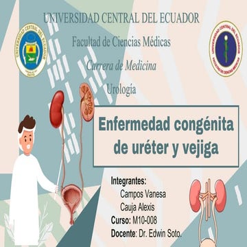 Uro Ureter Y Vejiga Exposicion Urologia Pptx