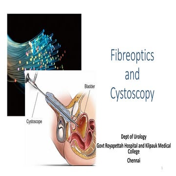Uro instruments- cystoscopy &amp; fibreoptics