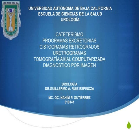 Diagnóstico por imagen Urología