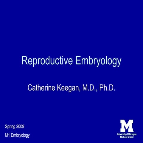 Urogenital embryology 
