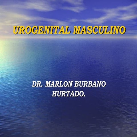 Urogenital masculino