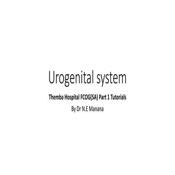Urogenital system.pptx