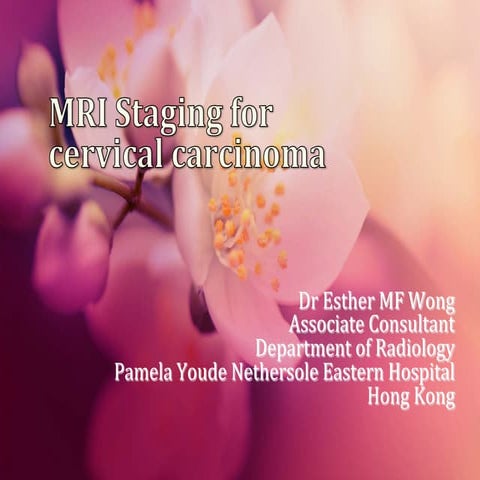 Urology gynecology mri staging for ca cervix