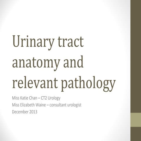Urology presentation