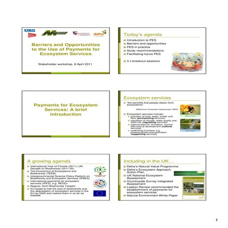 Barriers & Opportunities to Payments for Ecosystem Services in England