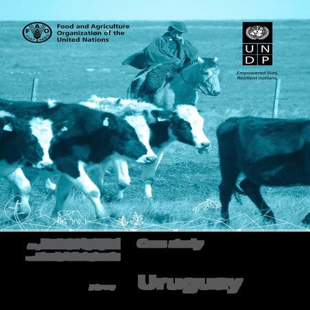 Uruguay Case Study - NAP-Ag Programme