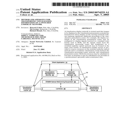 Method and apparatus for transporting visualization information on a switched...