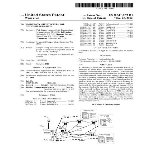Grid proxy architecture for network resources