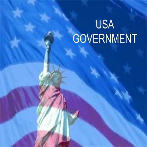 Usa Government