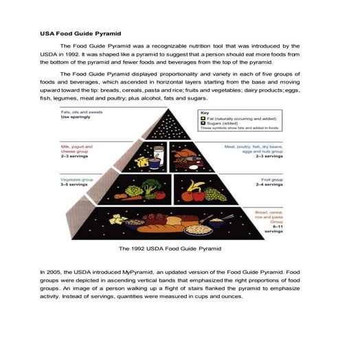 Usa food guide pyramid