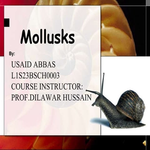 USAID ABBAS PRESENTATION.docx
