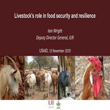 Livestock’s role in food security and resilience