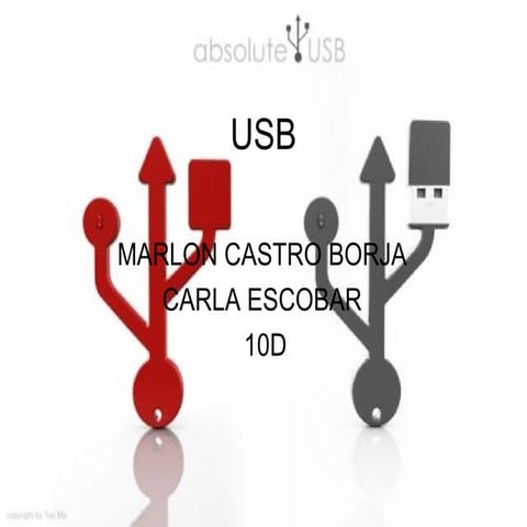 Usb Ruben Tapia Soporte Computacional | PPS