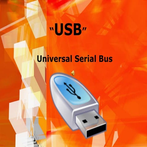 Usb Ruben Tapia Soporte Computacional
