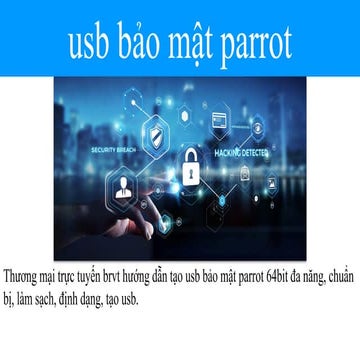 usb bảo mật parrot