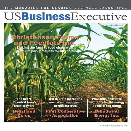 US Business Executive magazine - Broadwind Energy Inc.