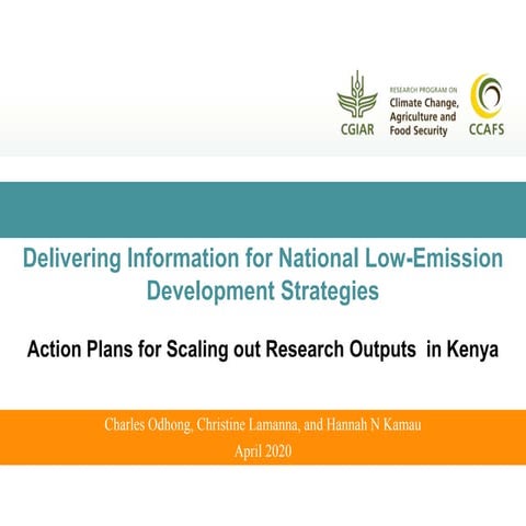Delivering information for national low-emission development strategies: acti...