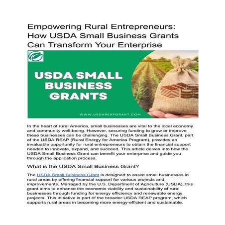 Empowering Rural Entrepreneurs: How USDA Small Business Grants Can ...