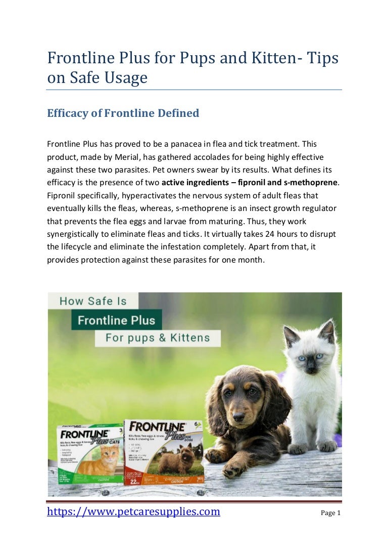 is frontline plus safe for puppies