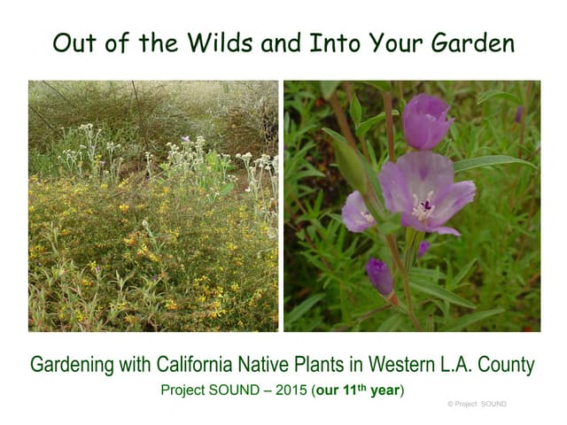 Useful gardens   2015