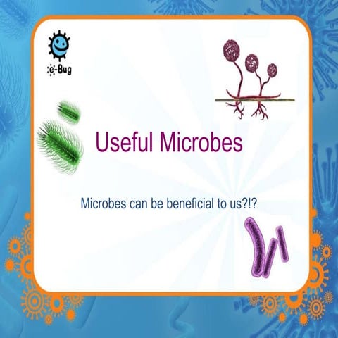 Useful microbes presentation