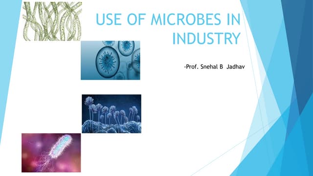 Use of microbes in industry