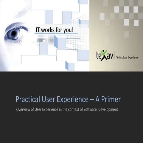 User Experience in Software Development - A Primer