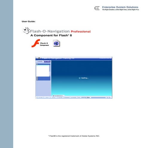 User guide flashnavigationprofessional