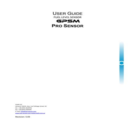 Capacitive fuel level sensor with accelerometer