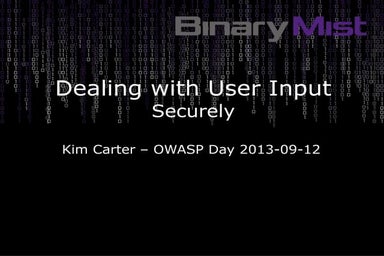 What's Our Software Doing With All That User Input