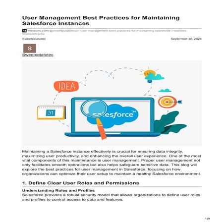 User Management Best Practices for Maintaining Salesforce Instances.pdf