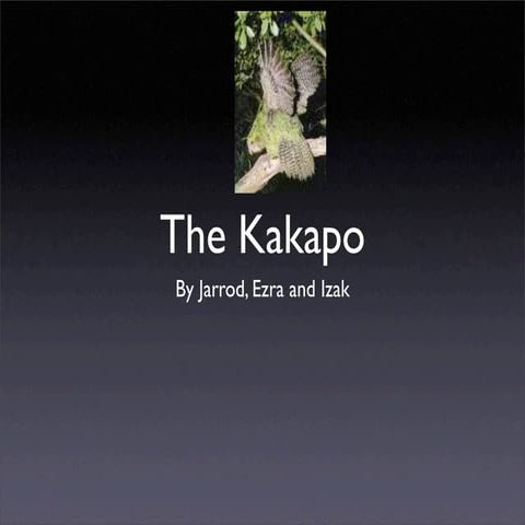 Kakapo slideshow by Izak and Ezra