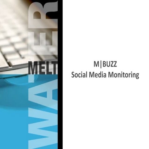 Meltwater Buzz - Social Media
